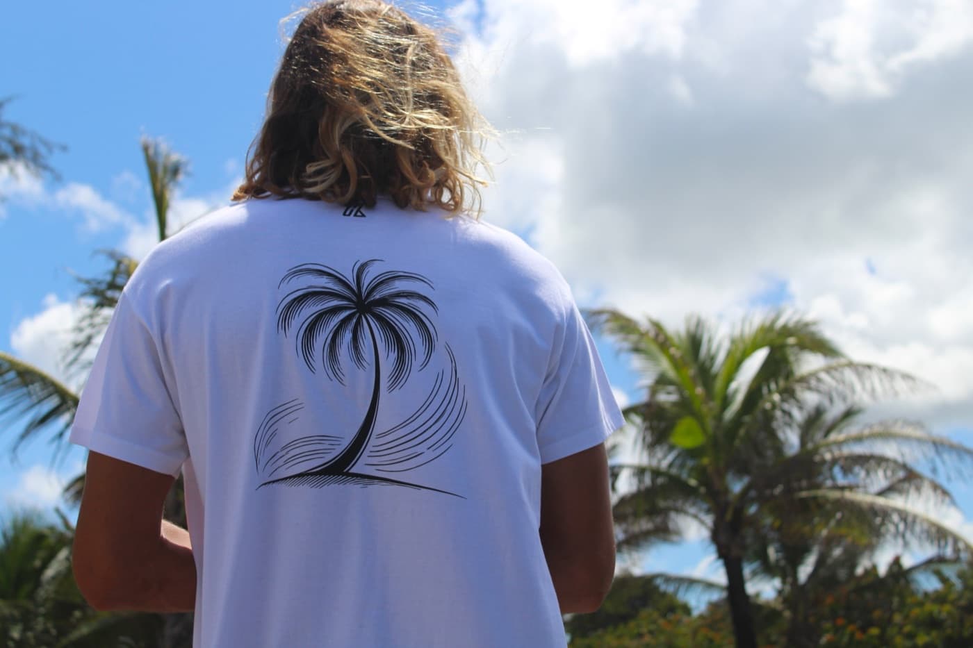 HX Palm Tree