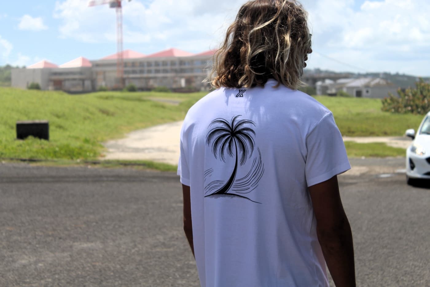 HX Palm Tree vue 3